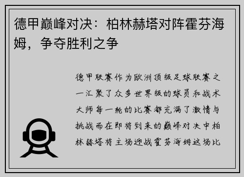 德甲巅峰对决：柏林赫塔对阵霍芬海姆，争夺胜利之争